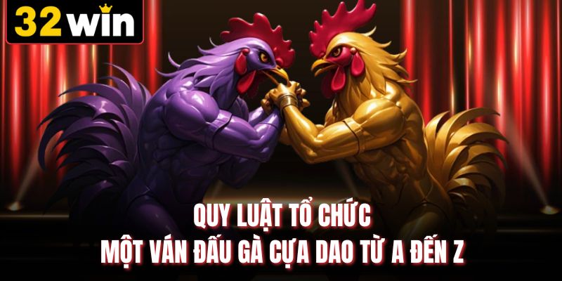 Quy luật tổ chức một ván đấu gà cựa dao từ A đến Z